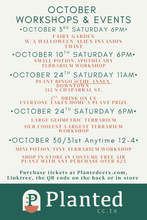 Load image into Gallery viewer, Workshop: Small Potion/Apothecary Terrarium October 10th

