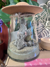 Load image into Gallery viewer, UFO Terrarium- Desertscape
