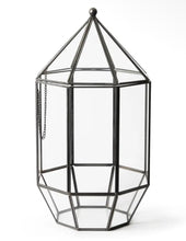 Load image into Gallery viewer, Workshop: Large Geometric Terrarium October 24th
