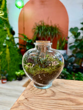 Load image into Gallery viewer, Workshop: Large Heart Terrarium February 14th
