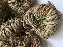 Load image into Gallery viewer, Rose of Jericho Resurrection Plant
