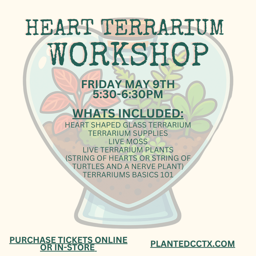 Workshop: Heart Terrarium May 9th