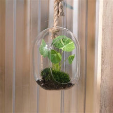 Load image into Gallery viewer, Sole Hanging Terrarium, Glass - Wide
