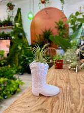 Load image into Gallery viewer, Workshop: Cowboy Boot Paint &amp; Air Plant June 27TH

