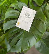 Load image into Gallery viewer, Monstera Shaped Sticky Traps Pack of 12
