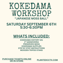 Load image into Gallery viewer, Workshop: Kokedama- Japanese Moss Ball
