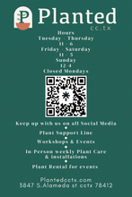Load image into Gallery viewer, Plant Bingo- JUNE 13TH @ THE ANNEX
