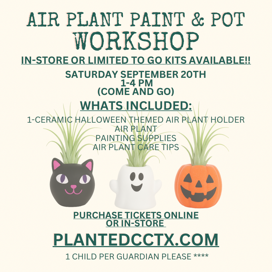 TO-GO- Workshop: Air plant Paint & Pot Sept 20th-