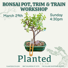 Load image into Gallery viewer, Workshop: Bonsai Potting March 28th
