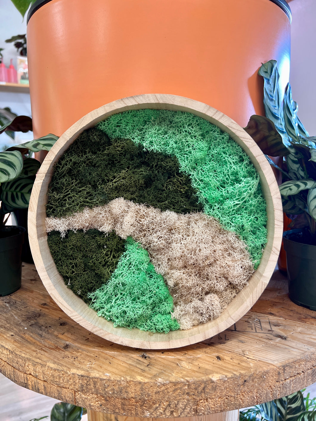 #5 Biophilic Art- Preserved Lichen and Moss Round frame