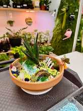 Load image into Gallery viewer, Workshop: Fairy Garden with a Twist- May 9th

