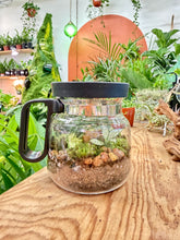 Load image into Gallery viewer, Workshop: Coffee Pot Terrarium June 13th
