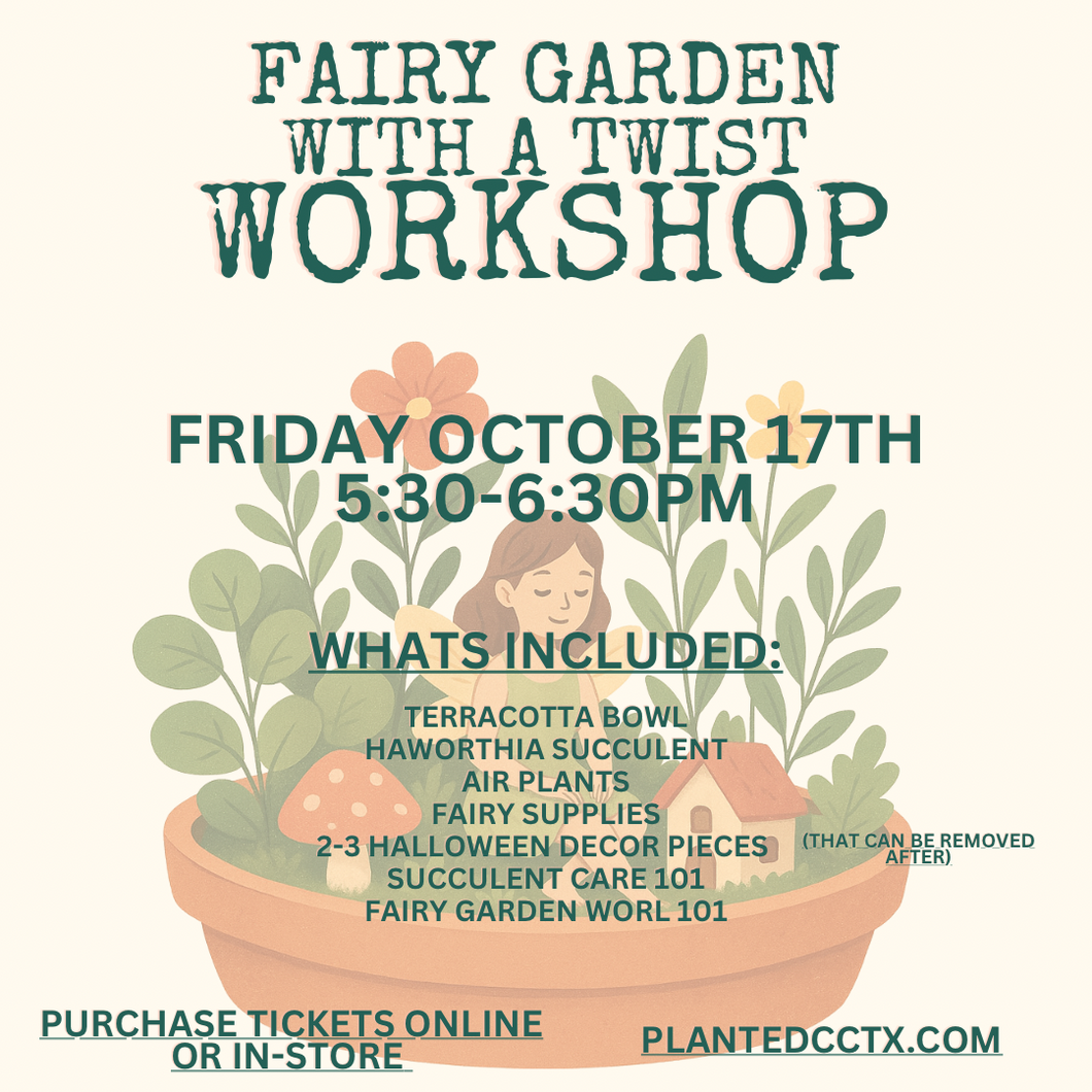 Workshop: Fairy Garden with a Twist- October 18th