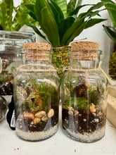 Load image into Gallery viewer, Workshop: Small Potion/Apothecary Terrarium October 10th
