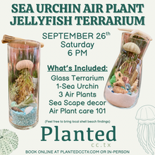 Load image into Gallery viewer, Workshop: Sea Urchin Jellyfish Under The Sea Terrarium September 26th
