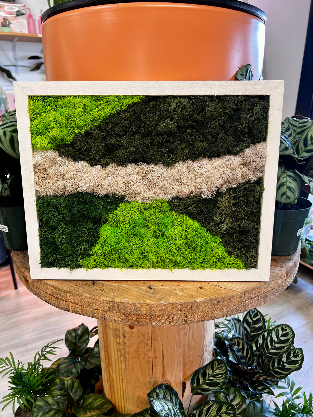 #3 Biophilic Art- Preserved Lichen and Moss 11 x 14 Framed Art