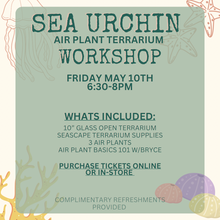 Load image into Gallery viewer, Workshop: Sea Urchin Air Plant Terrarium
