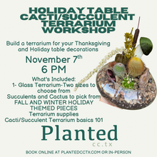 Load image into Gallery viewer, Workshop: Nov 7th- Cacti/Succulent Terrarium-Holiday Table set up
