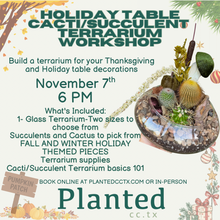 Load image into Gallery viewer, Workshop: Nov 7th- Cacti/Succulent Terrarium-Holiday Table set up

