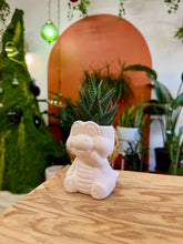 Load image into Gallery viewer, Workshop: Crocodile Paint &amp; Pot Feb 28th
