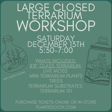 Load image into Gallery viewer, Workshop: Closed Terrarium December 13th
