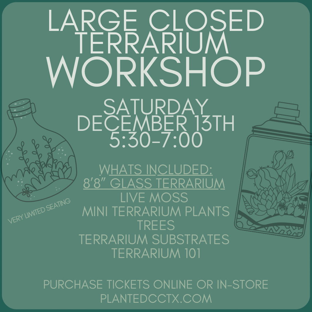 Workshop: Closed Terrarium December 13th