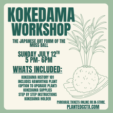 Load image into Gallery viewer, Workshop: Kokedama-Japanese moss ball- July 12th
