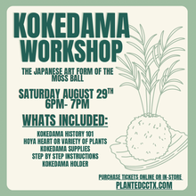 Load image into Gallery viewer, Workshop: Kokedama-Japanese Moss Ball- August 29th

