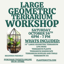 Load image into Gallery viewer, Workshop: Large Geometric Terrarium October 24th
