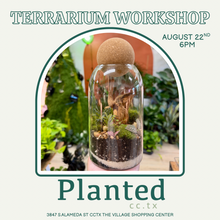 Load image into Gallery viewer, Workshop: Medium Cork Ball Terrarium August 22nd
