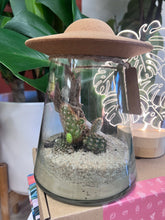 Load image into Gallery viewer, UFO Terrarium- Desertscape
