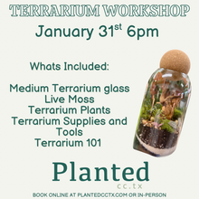 Load image into Gallery viewer, Workshop: Medium Terrarium January 31st
