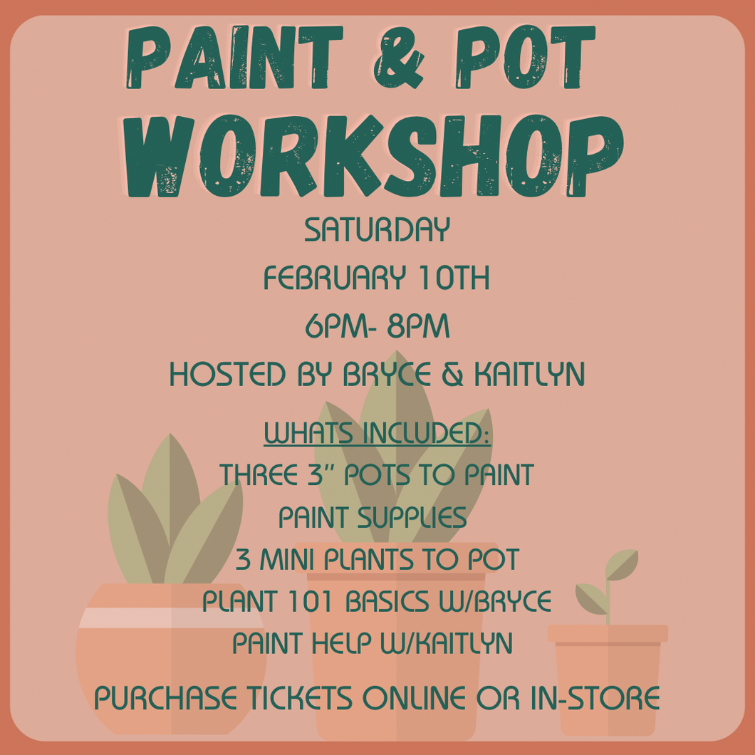 Workshop: Paint & Pot
