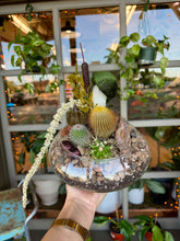 Load image into Gallery viewer, Workshop: Nov 7th- Cacti/Succulent Terrarium-Holiday Table set up
