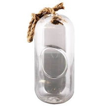 Load image into Gallery viewer, Sole Hanging Terrarium, Glass - Lrg
