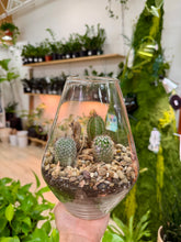 Load image into Gallery viewer, Workshop: Nov 7th- Cacti/Succulent Terrarium-Holiday Table set up
