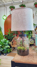 Load and play video in Gallery viewer, Workshop: Lamp Terrarium July 25th
