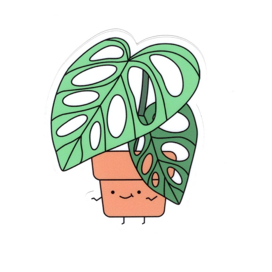 Monstera Adansonii Vinyl Sticker