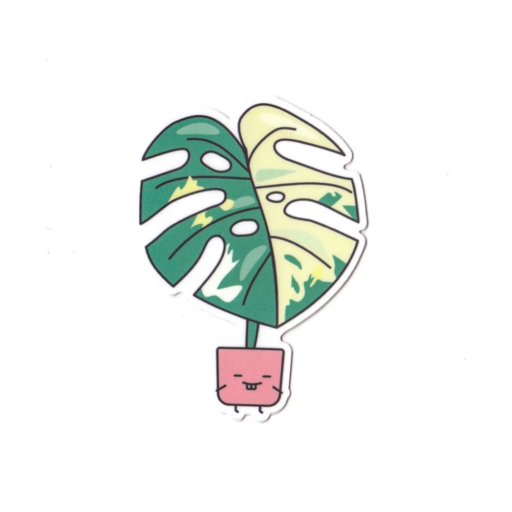 Variegated Monstera  Vinyl Sticker